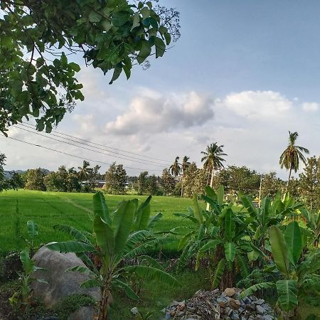 Gopi Plantation Homestay ハンピ エクステリア 写真