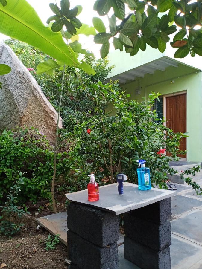 Gopi Plantation Homestay ハンピ エクステリア 写真