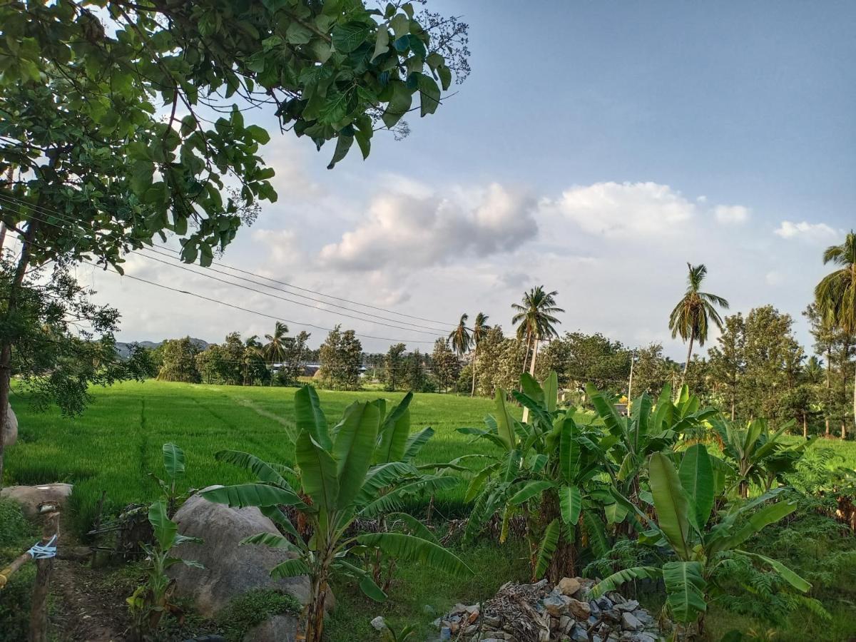 Gopi Plantation Homestay ハンピ エクステリア 写真