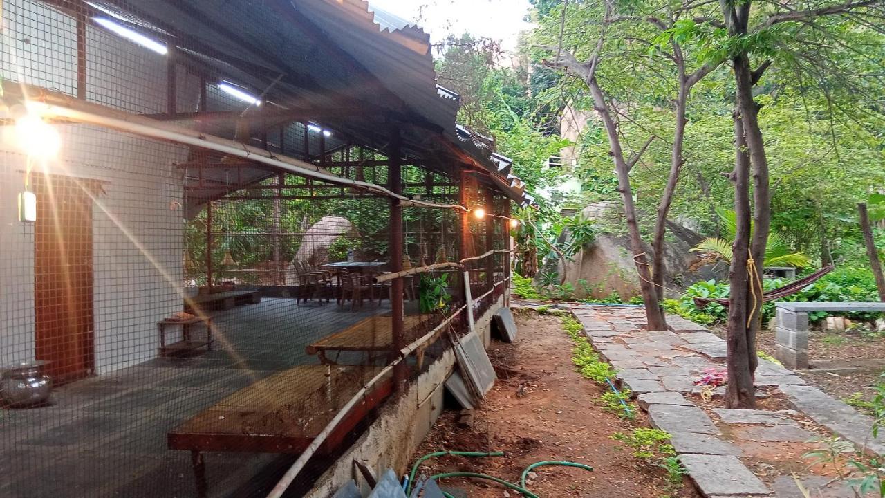 Gopi Plantation Homestay ハンピ エクステリア 写真