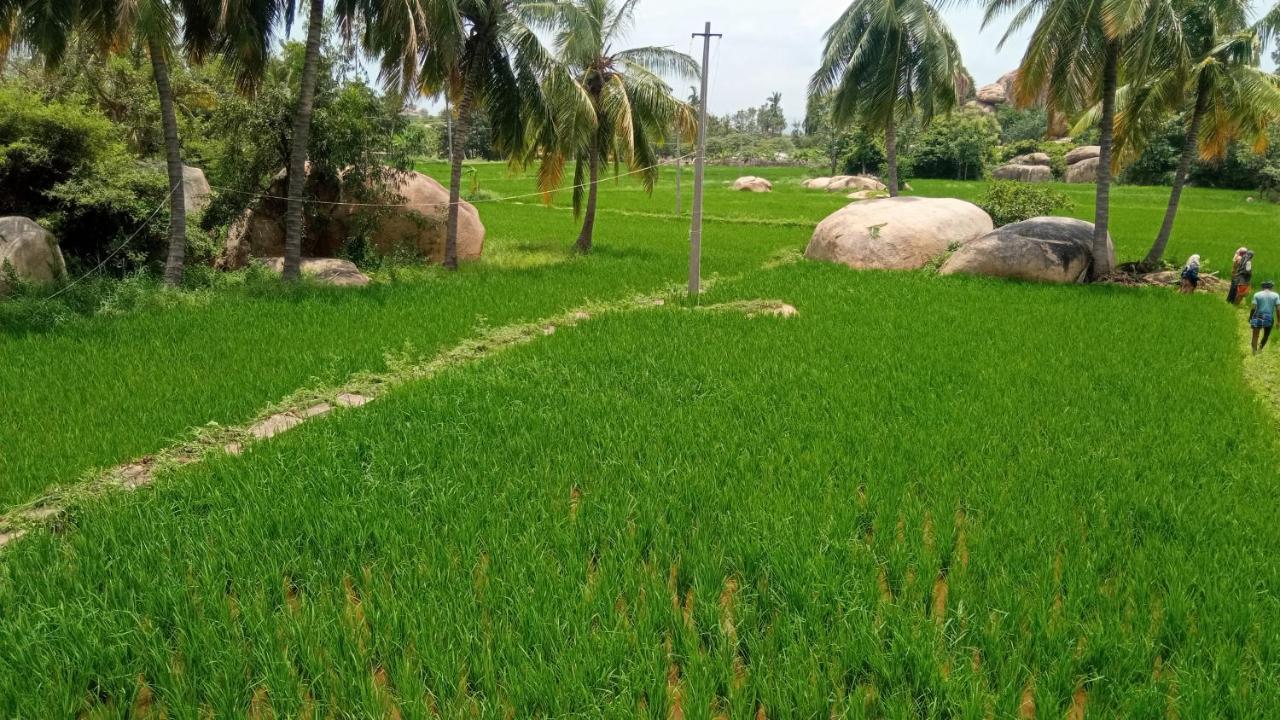 Gopi Plantation Homestay ハンピ エクステリア 写真