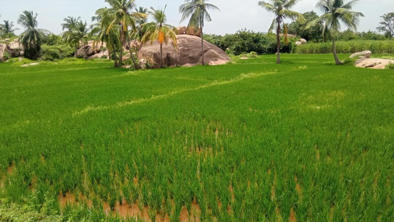 Gopi Plantation Homestay ハンピ エクステリア 写真
