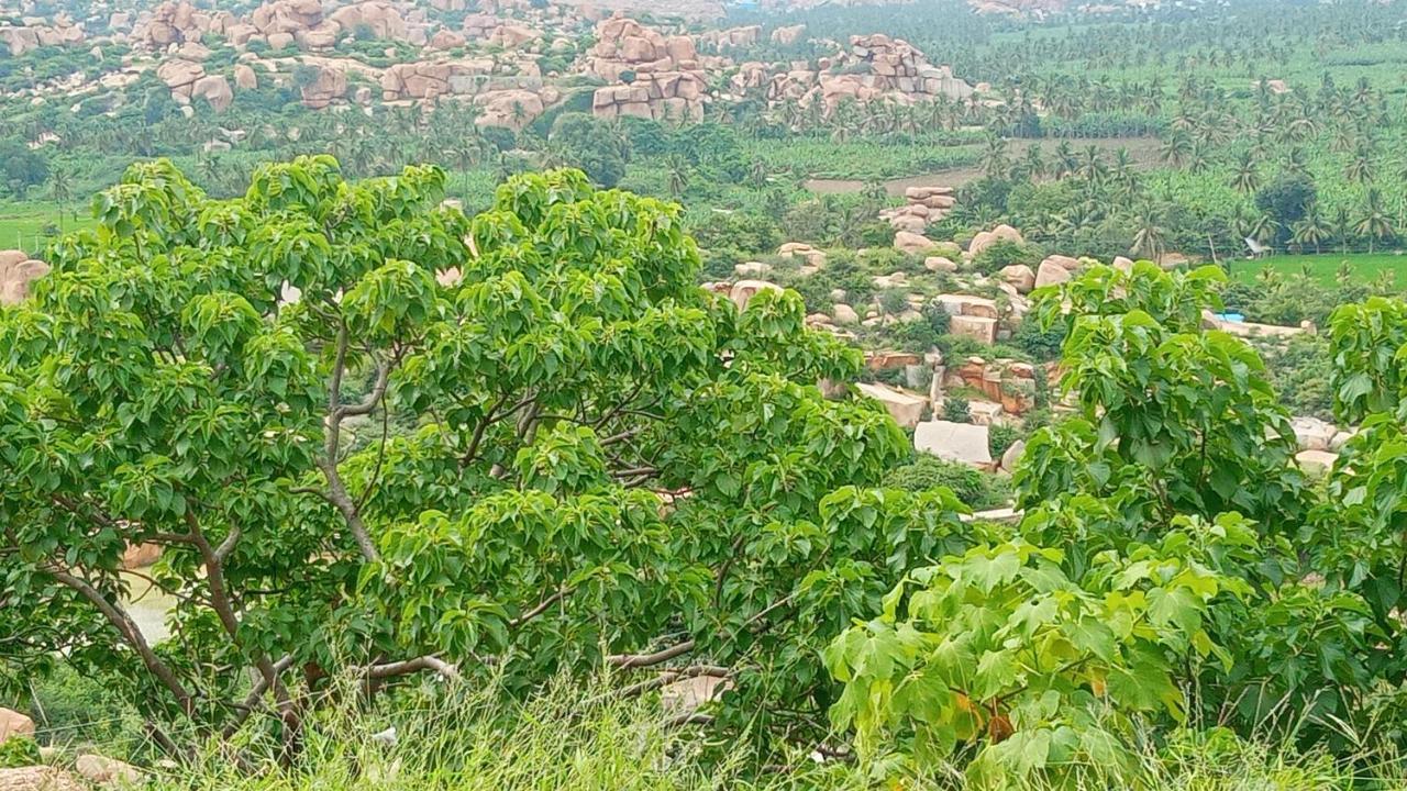 Gopi Plantation Homestay ハンピ エクステリア 写真