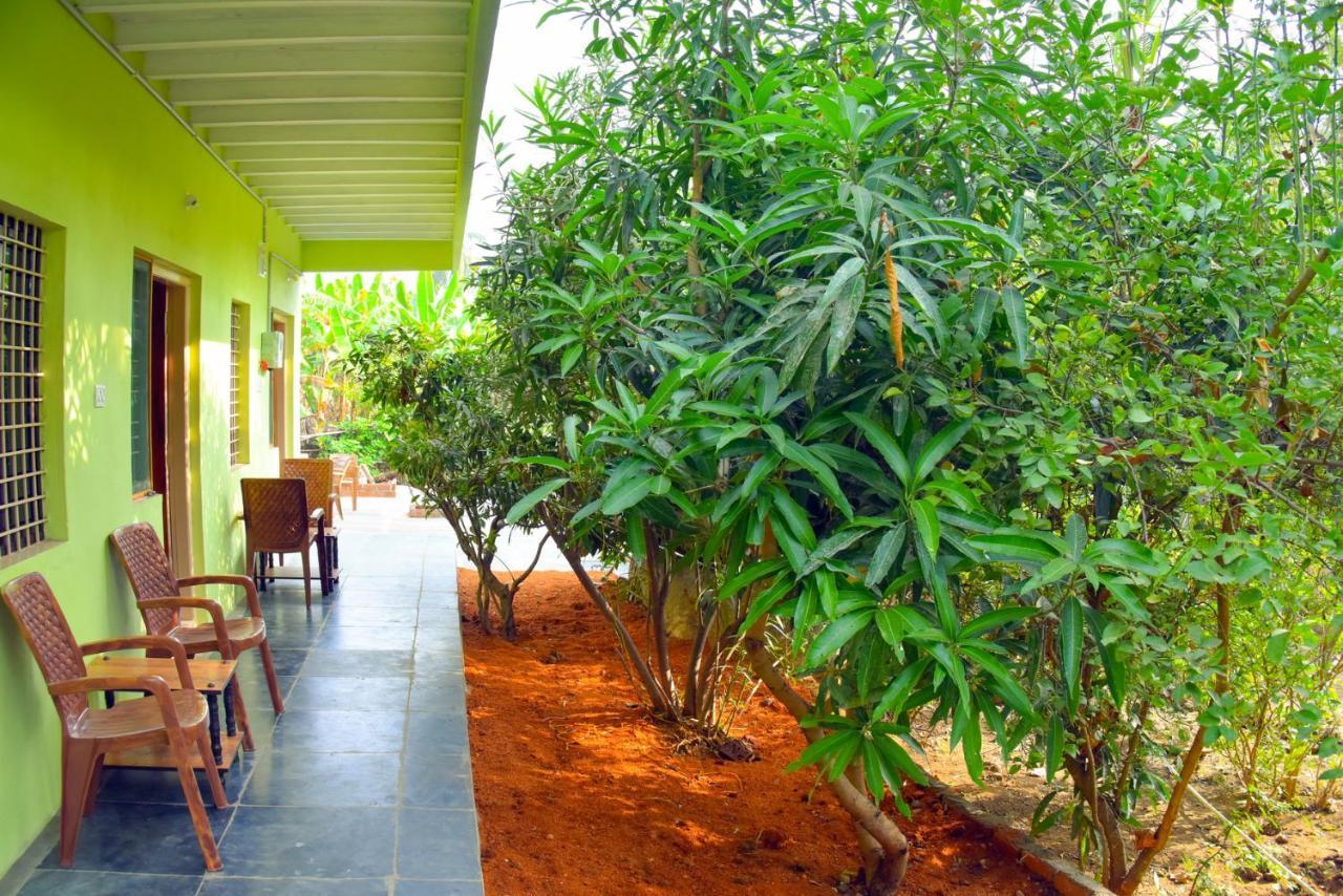 Gopi Plantation Homestay ハンピ エクステリア 写真
