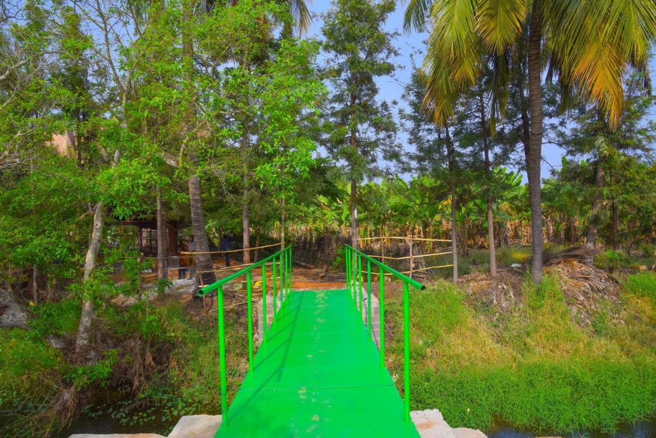 Gopi Plantation Homestay ハンピ エクステリア 写真